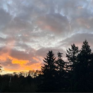 Meet your Posher, Pickle